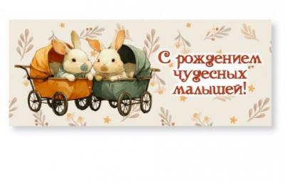 Конверт для денег «С рождением чудесных малышей!» (Ваката, 1160)